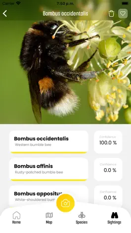 Game screenshot BeeMachine hack