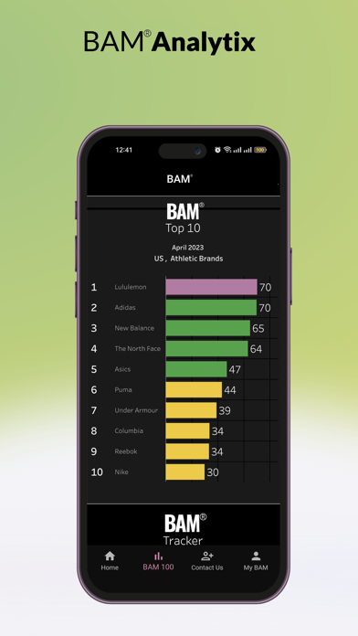 BAM Brand Monitor Screenshot