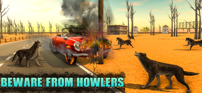 Long Roads Car Driving Trip