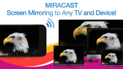 Screenshot #1 pour Miracast + Screen Mirror
