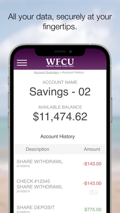 Wufface Federal CU Member.Net Screenshot