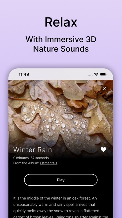Pure Nature - 3D Soundscapes screenshot-4