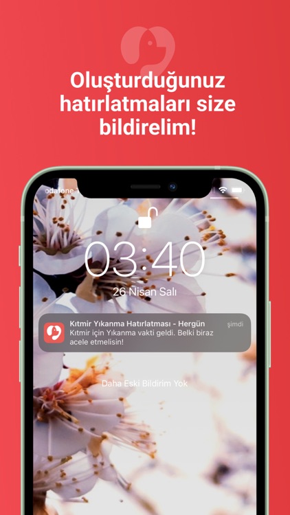 Kitty Kitty screenshot-5