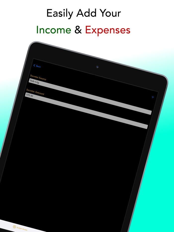 Budget Buddy Financial