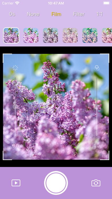 Screenshot #2 pour DICA - Lilac