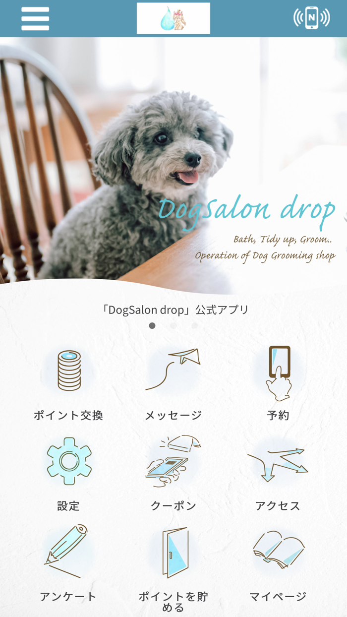 DogSalon drop