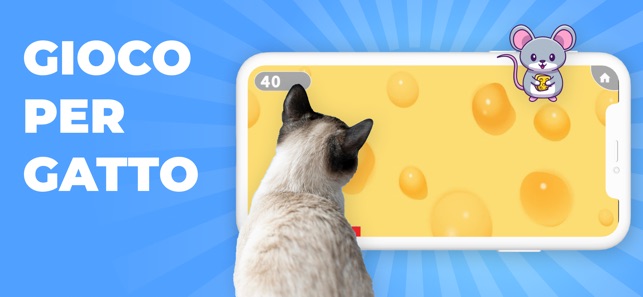 Giochi per gatti e gattini su App Store