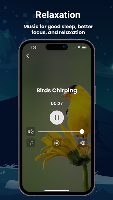 Sleepify - Sleeping Sounds Screenshot