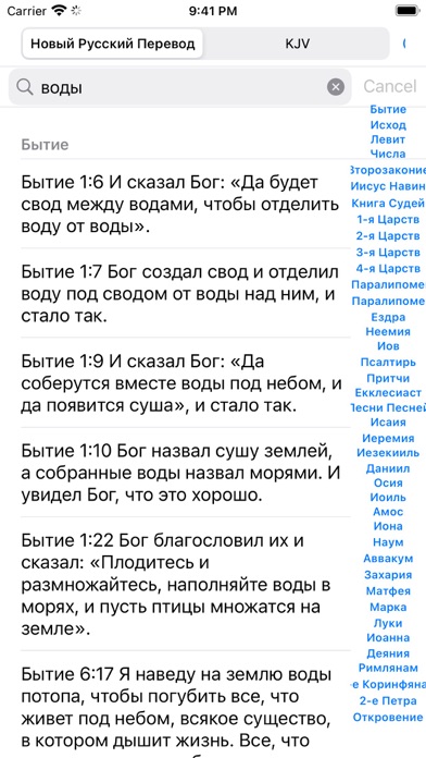 Russian Audio Holy Bible Screenshot