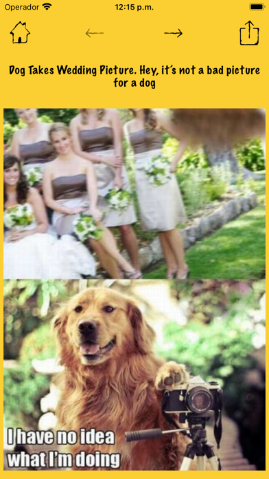 Funny images to share Screenshot