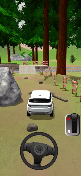 Game screenshot Real Drive 3D mod apk