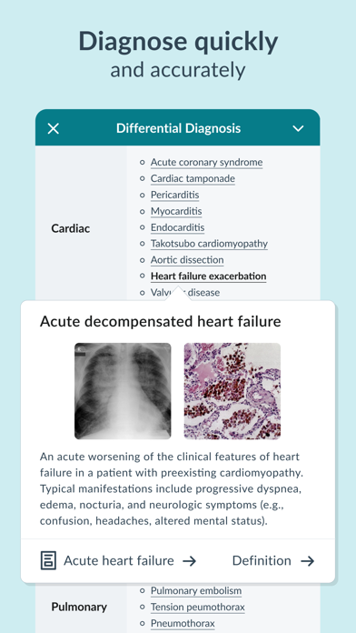 AMBOSS Medical Knowledge Screenshot