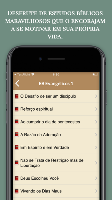 Estudos Bíblicos Evangélicos Screenshot