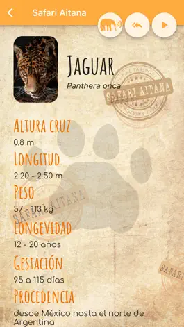 Game screenshot Safari Aitana mod apk