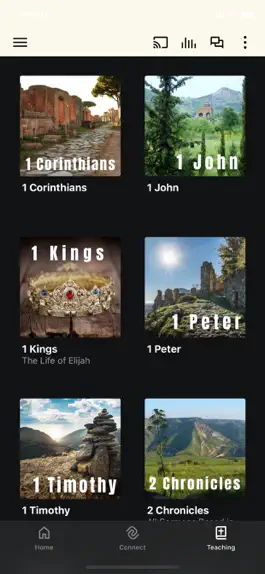 Game screenshot Free Grace Church hack