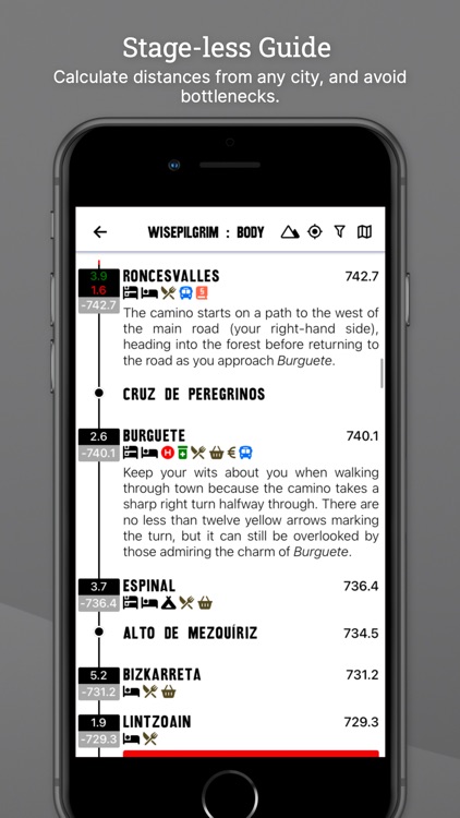 Wise Pilgrim Camino Francés