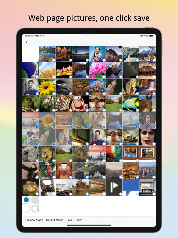 Private Album - PRAM