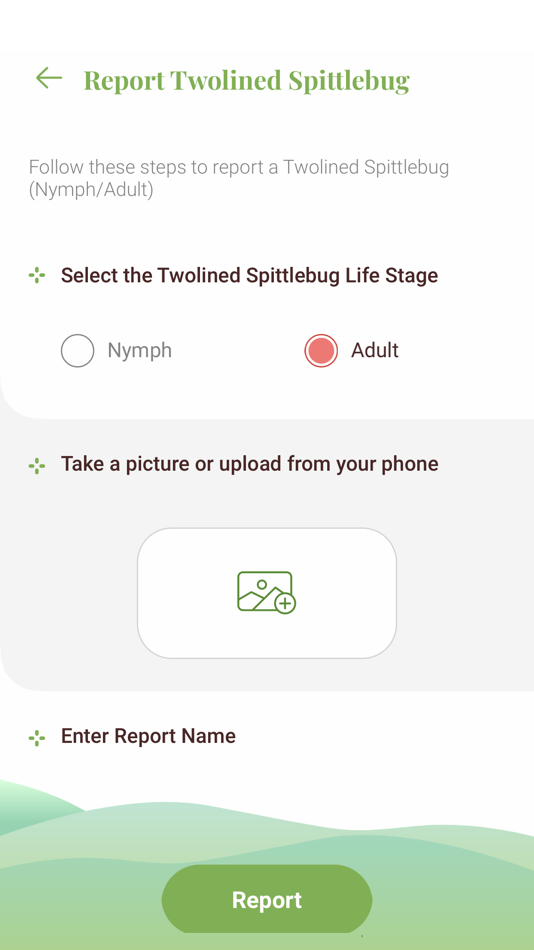 #6. Twolined Spittlebug Tool (iOS) 由: University of Hawaii