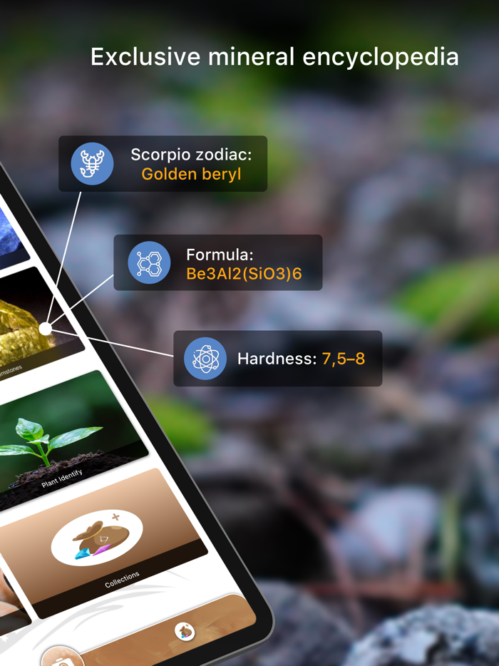 Rock Identifier Crystal Finder