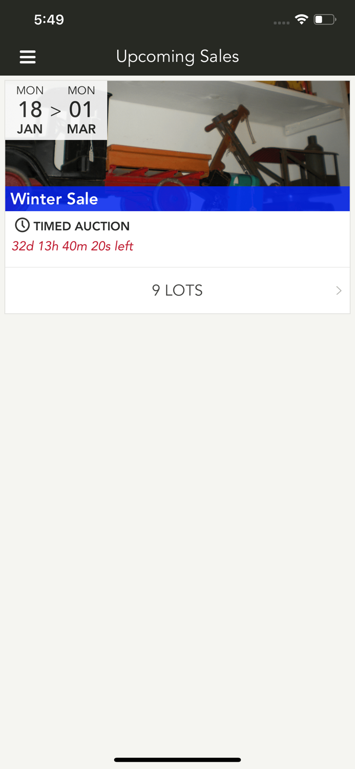 Lloyds of Lakeland Auction