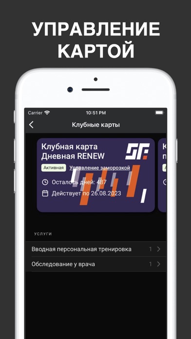 Synergy Fitness Screenshot