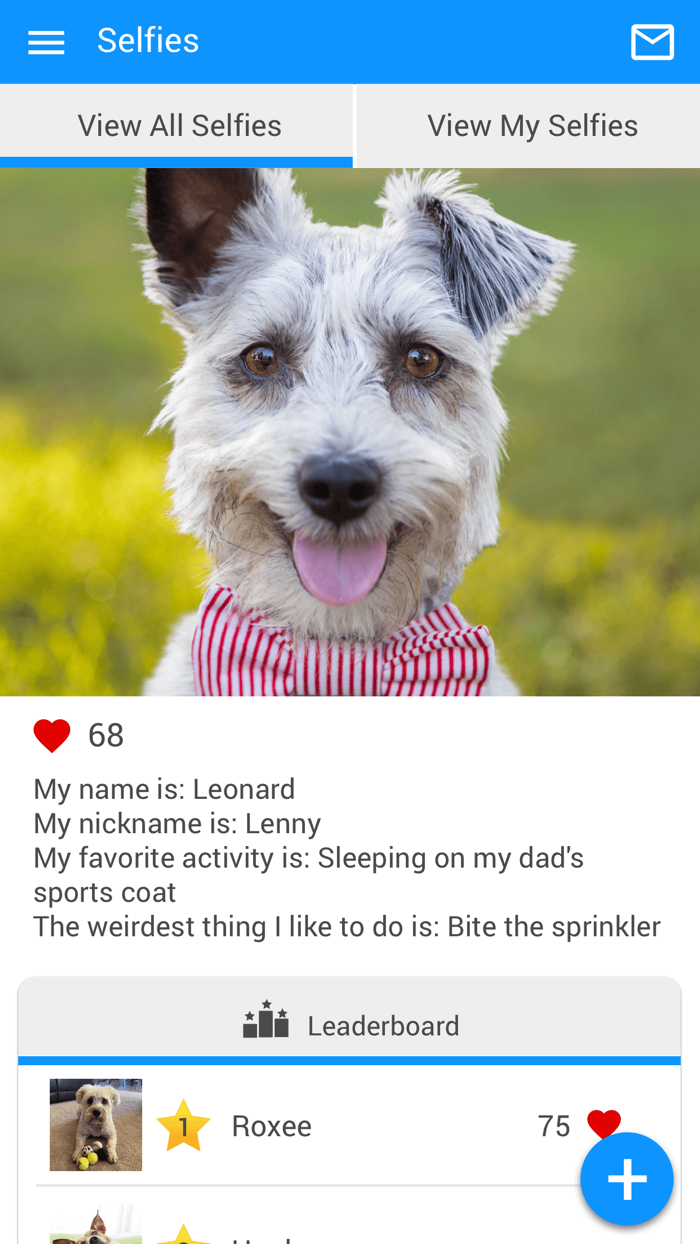 Sullivan Veterinary Service