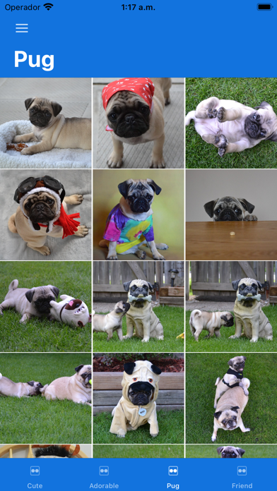 Dog Pictures Screenshot
