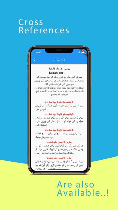 Audio Urdu Bible Screenshot