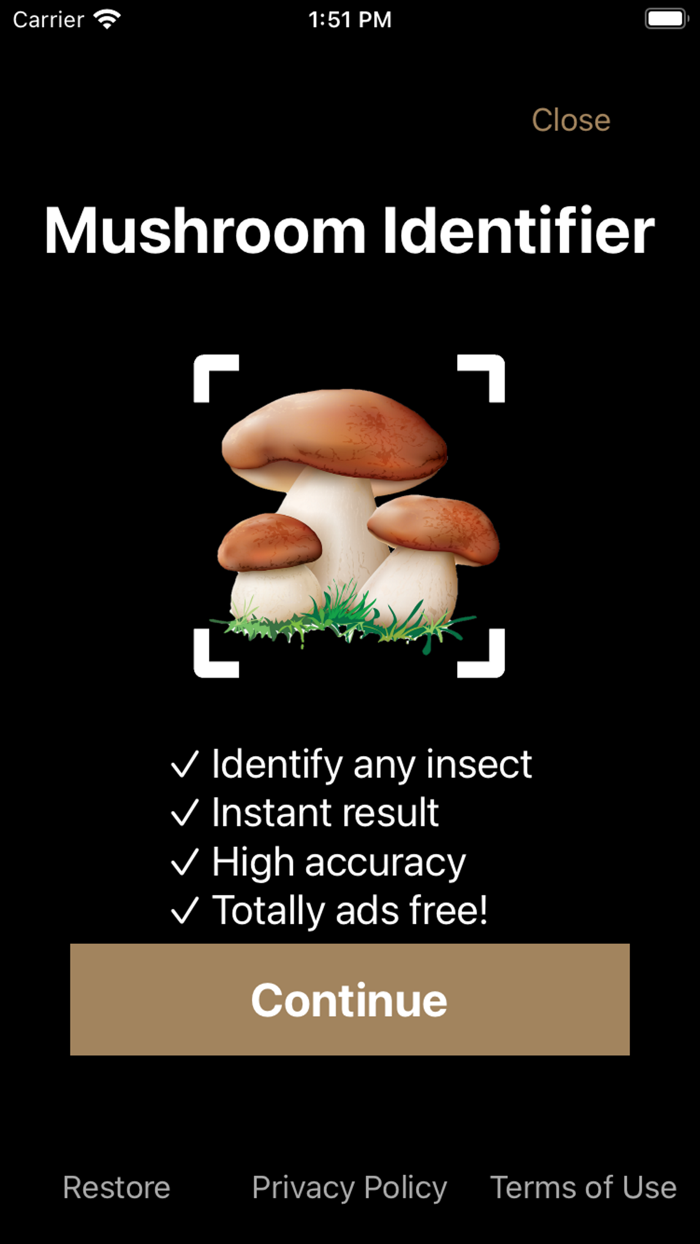 Mushroom Identifier Fungus ID