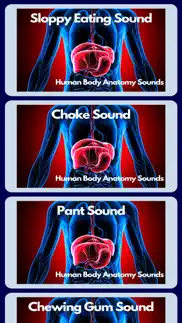 human body anatomy sounds problems & solutions and troubleshooting guide - 4