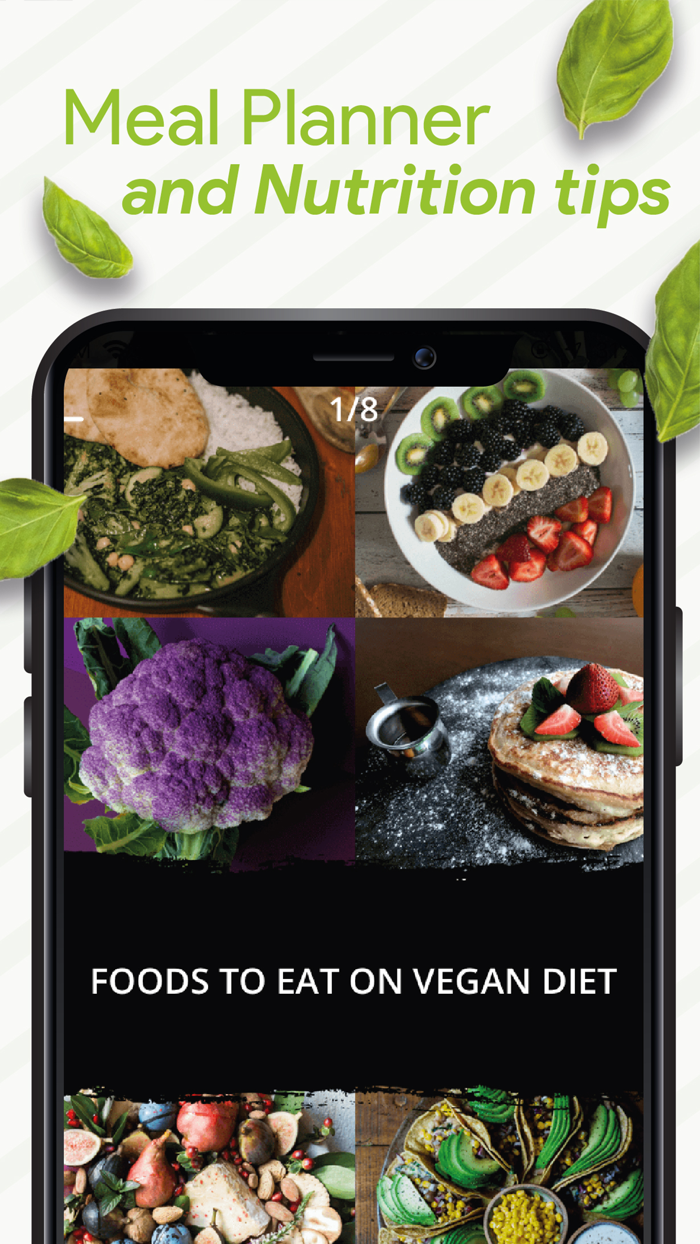 Vegan Recipes  Meal Planner