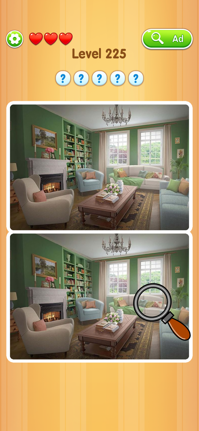 Detect It Picture Puzzle