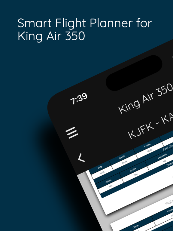 Screenshot #4 pour King Air 350