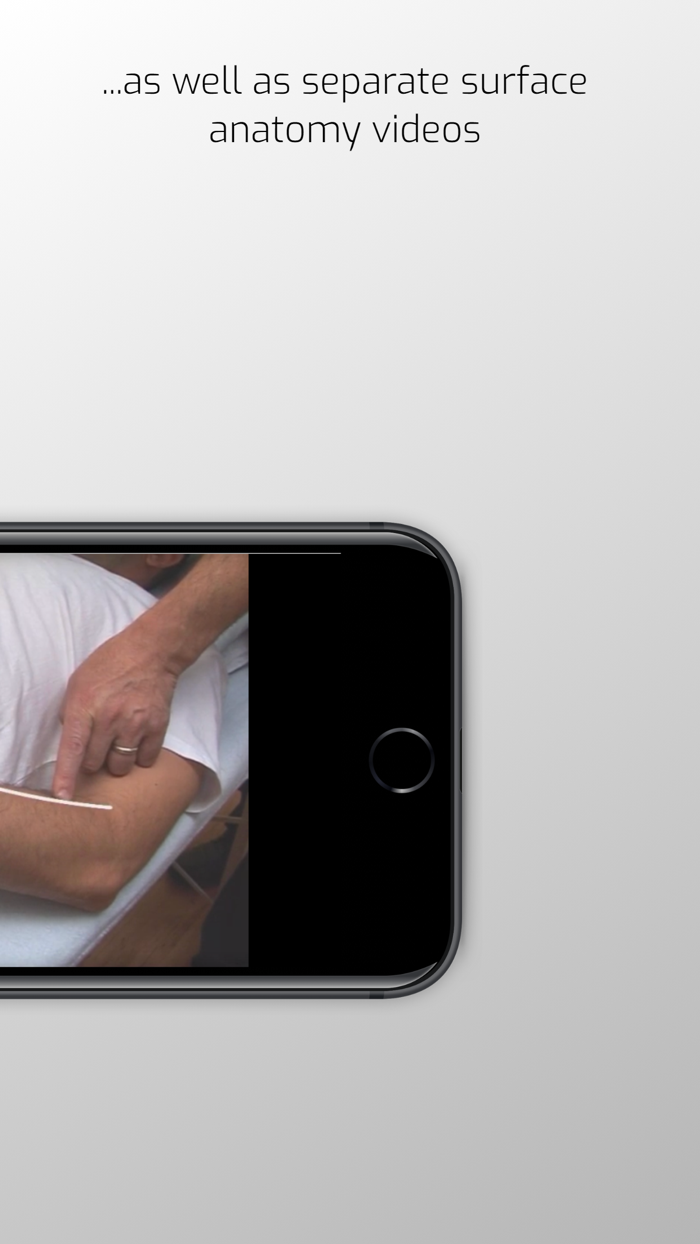 A Manual of Acupuncture