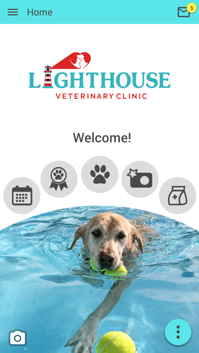 Lighthouse Veterinary Clinic Screenshot