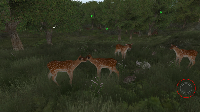 Life Of Deer Remastered