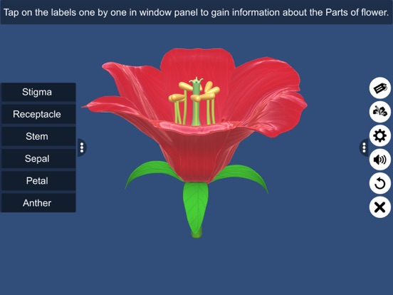 Screenshot #4 pour Parts of Flower