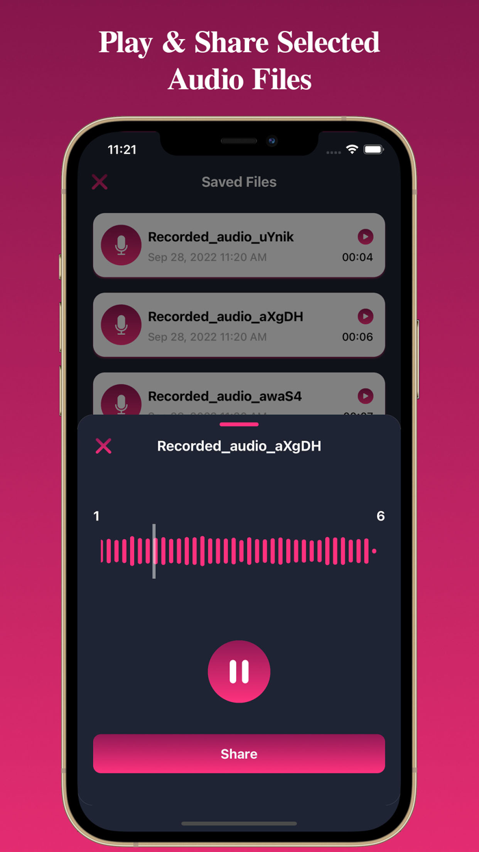 Voice Recorder Voice Record