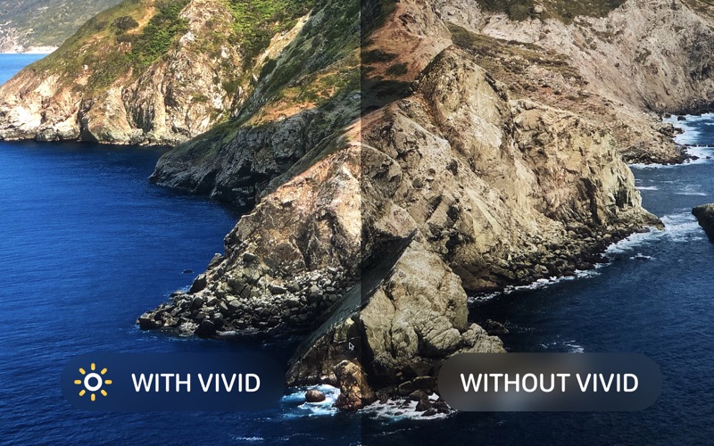 How to cancel & delete vivid - double your brightness 1