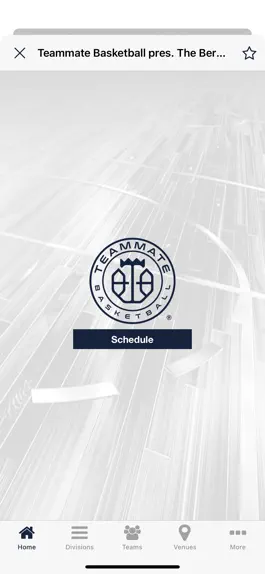 Game screenshot Teammate Basketball hack