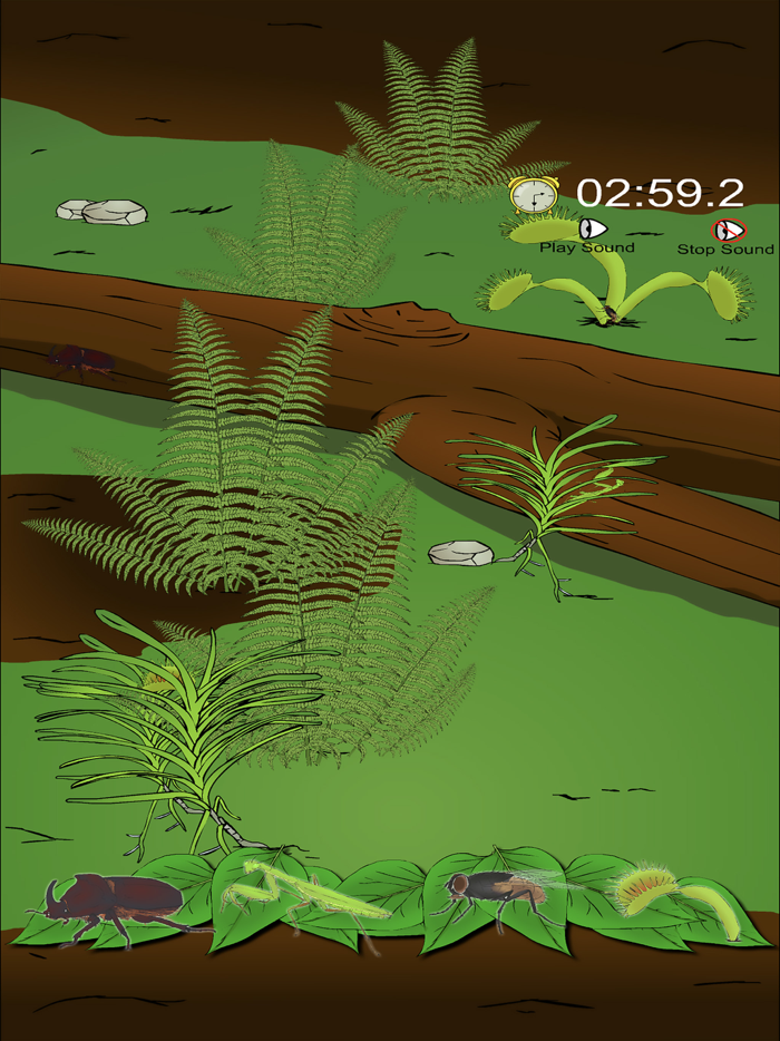 Find The Hidden Insects