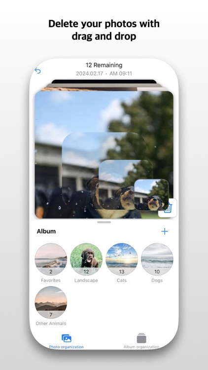 CollectBook: Photo Cleaner