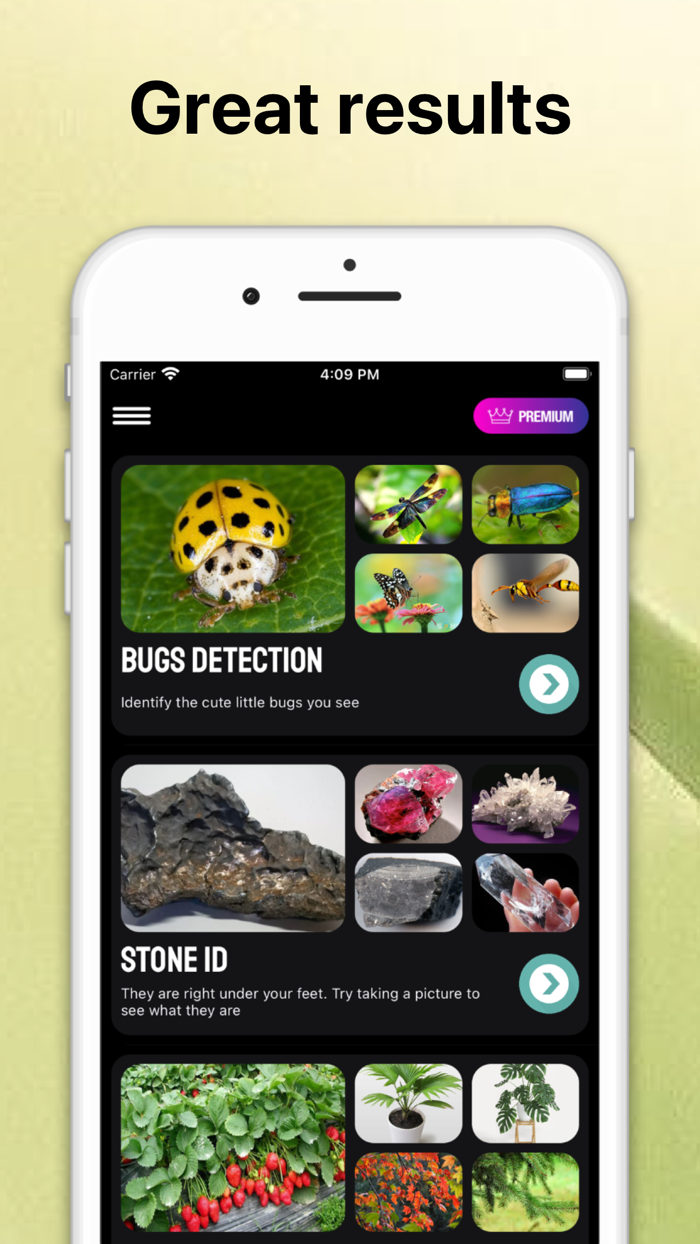 Rock Identifier Stone Scanner