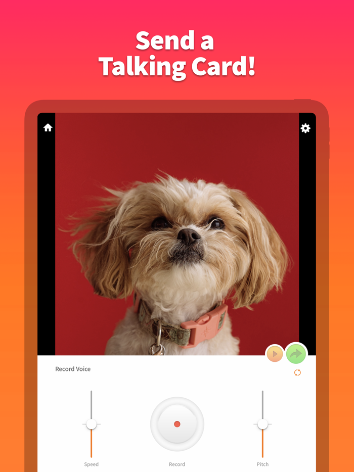 Pet Animator - Send eCards
