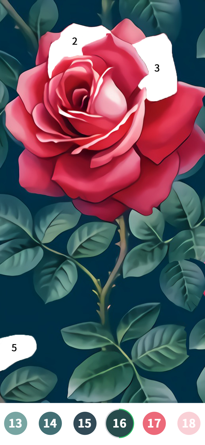 Color Painting-Color By Number