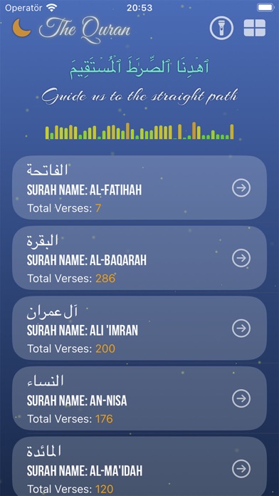 The Quran - Surahs and Verses Screenshot