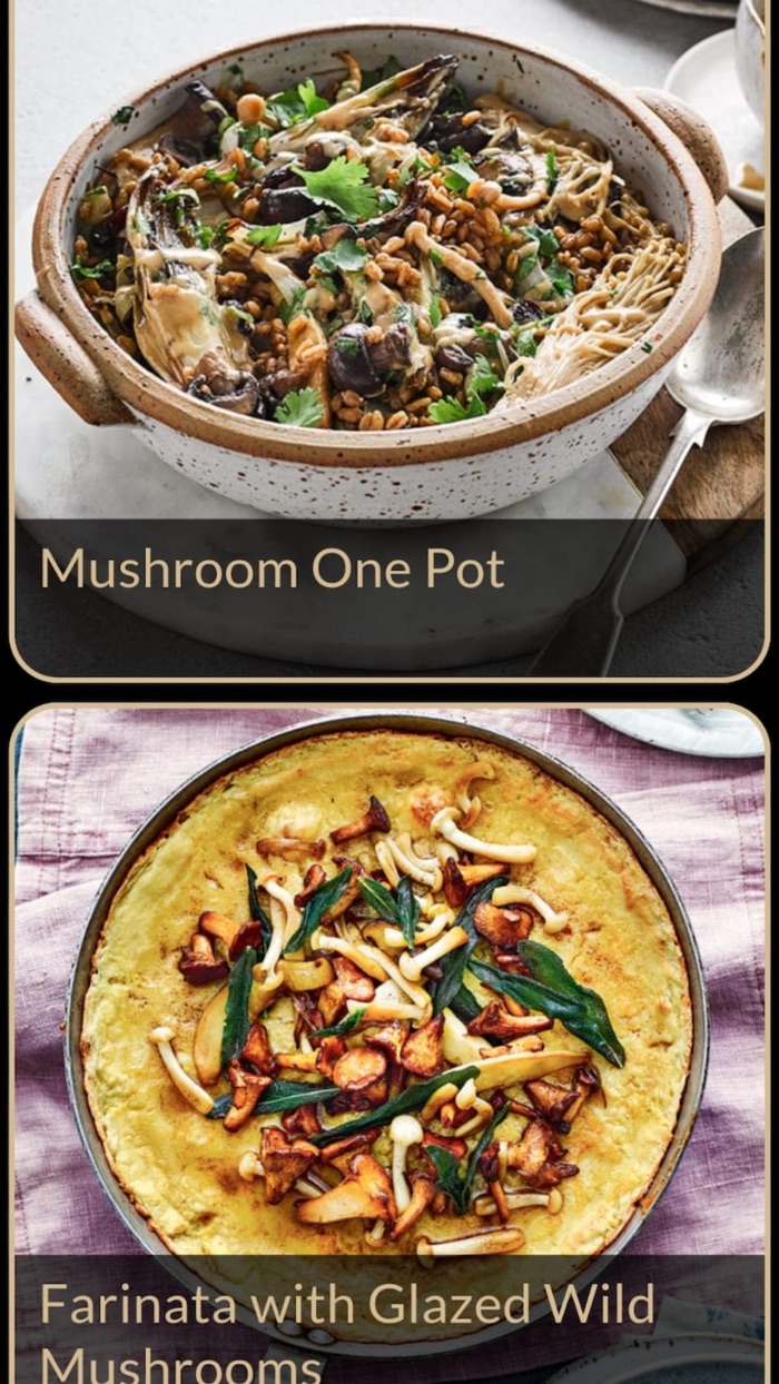 Mushroom Recipes Plus