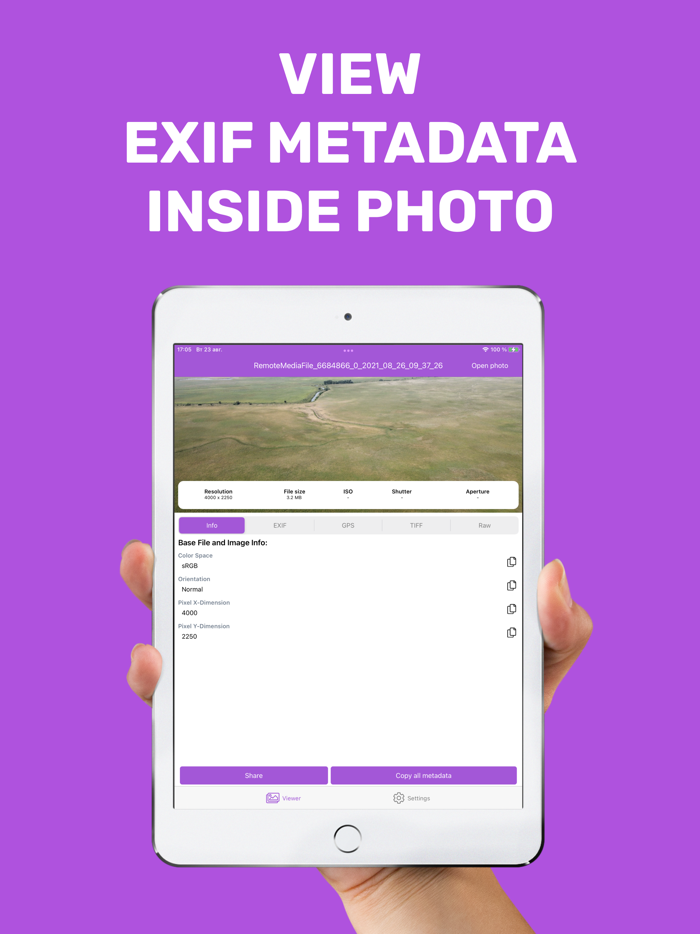 Metadata viewer