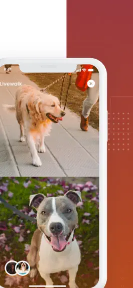 Game screenshot The Pet Society apk