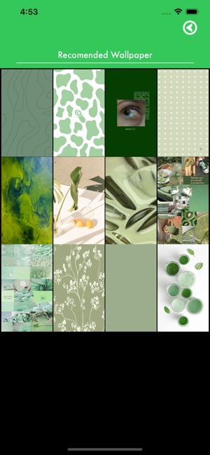 Download Sage Green Aesthetic Wallpaper App Free on PC Emulator  LDPlayer